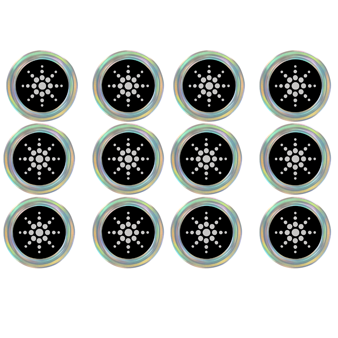 Q Shield EMF Protection Chip